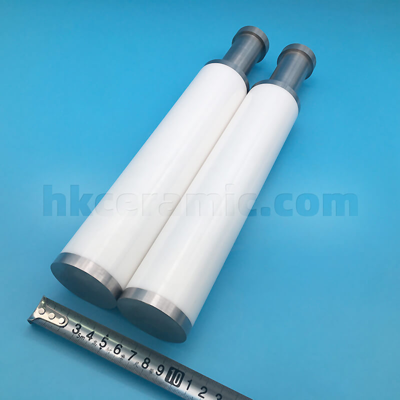 A pair of zirconia ceramic plungers