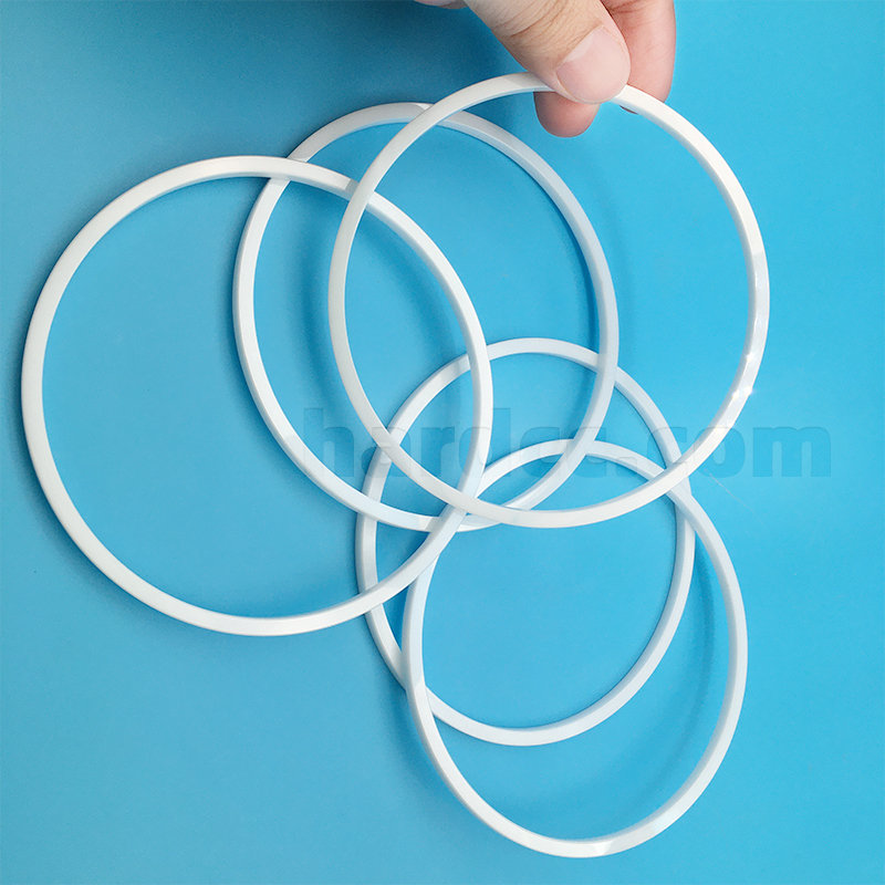 zirconia ceramic sealing ring